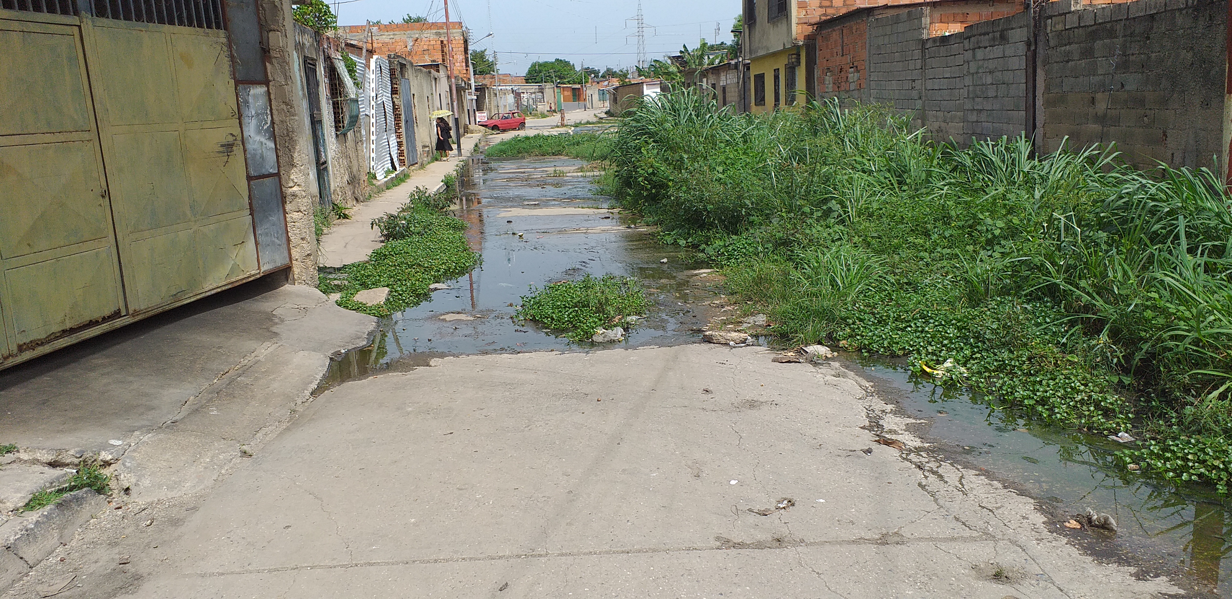 Camina: Parroquias de Valencia duramente golpeadas por la ineficiencia