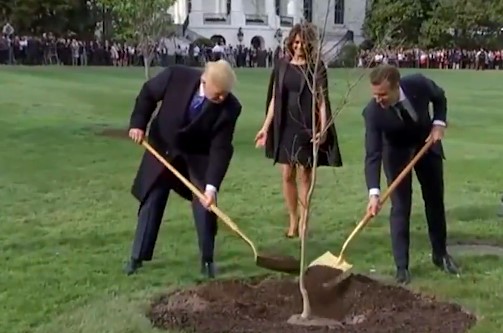 ¡Se murió!…  La amistad plantada entre Trump y Macron en la Casa Blanca (Video)