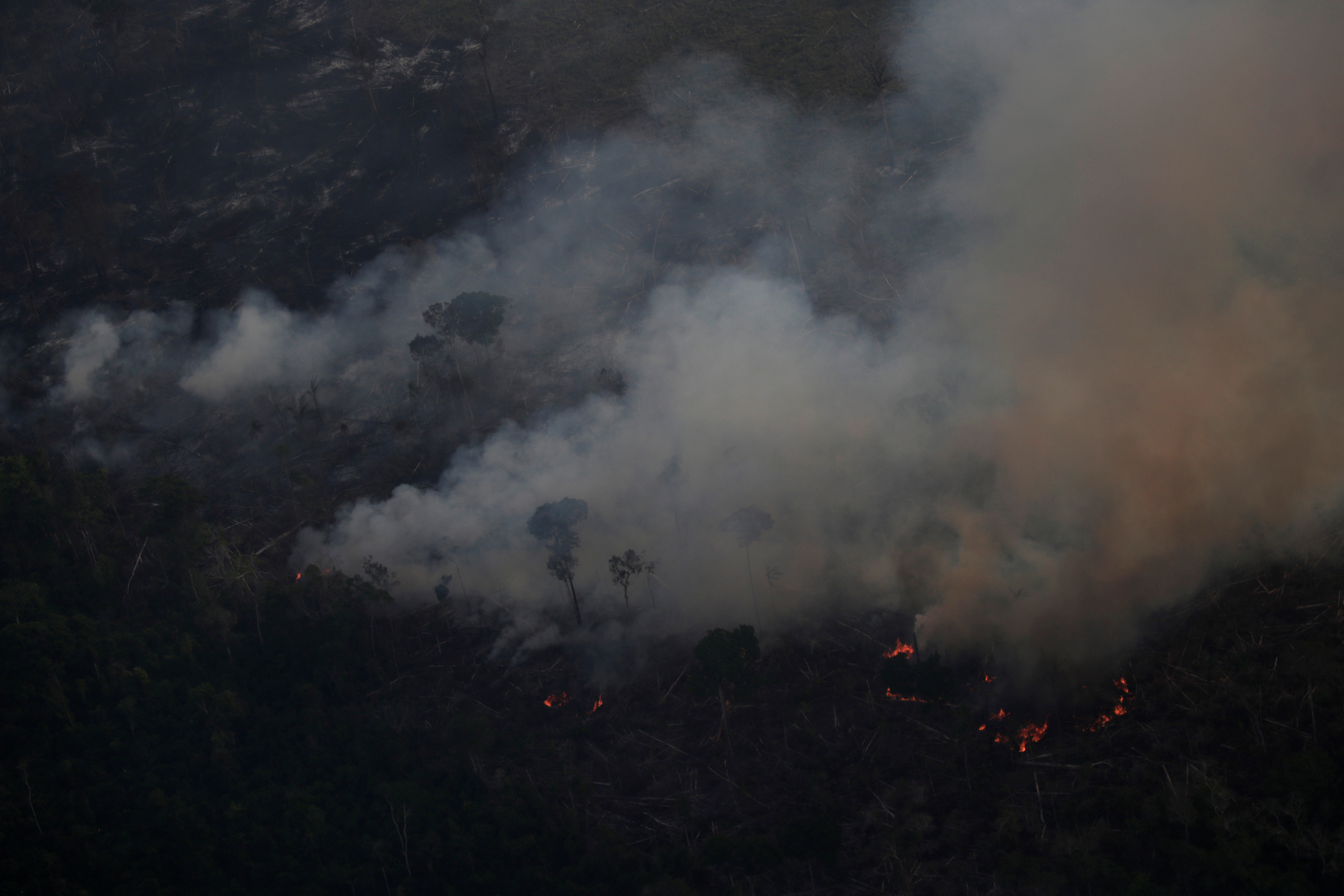 La Amazonía brasileña arde a un ritmo récord (Fotos)