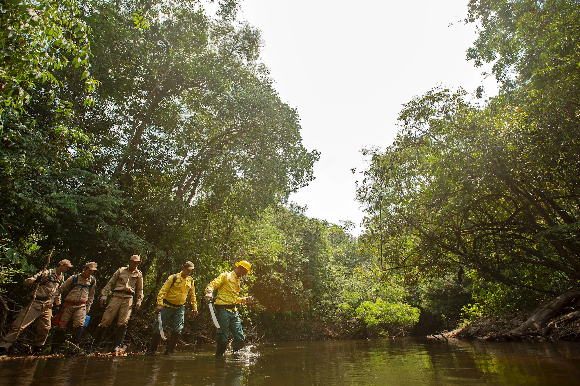 Brasil prorroga el uso de tropas federales contra deforestación en Amazonia