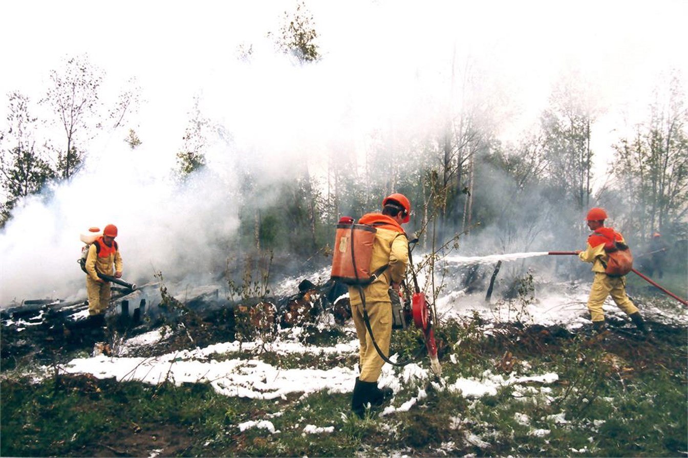 Concilio de chamanes pedirá a los dioses combatir los incendios en Siberia