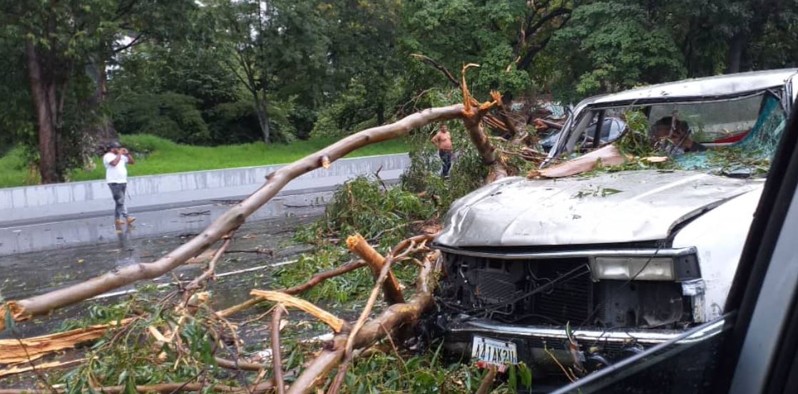 Árbol caído por fuertes lluvias provocó un accidente en la autopista Francisco Fajardo (FOTOS)