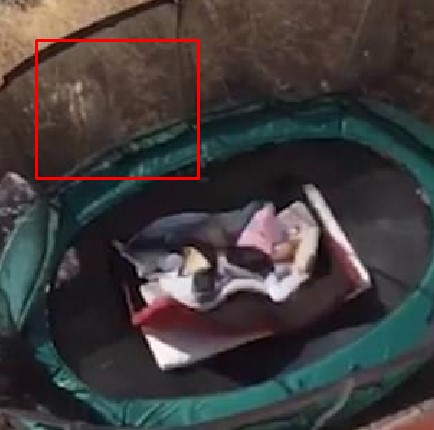 VIRAL: Se lanzó sobre un trampolín y se le apareció la niña de “El Aro” (Sape Gato)