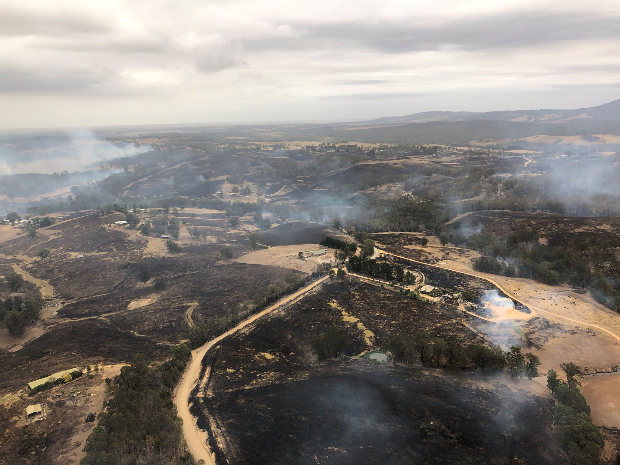 Australia sumergida en una ola de calor a raíz de los incendios (Fotos y video)