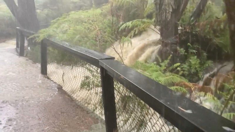 De un extremo a otro: Tormentas en las zonas incendiadas de Australia causan inundaciones