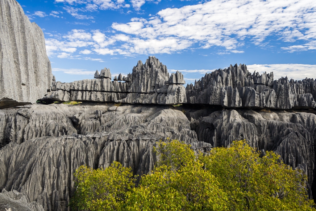 ¿Te animarías a recorrer el bosque de piedras más grande del planeta?