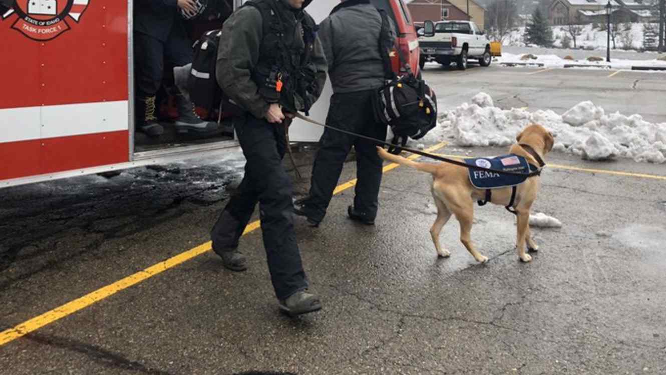 Reportan muertos y heridos tras una avalancha en una estación de esquí de Idaho