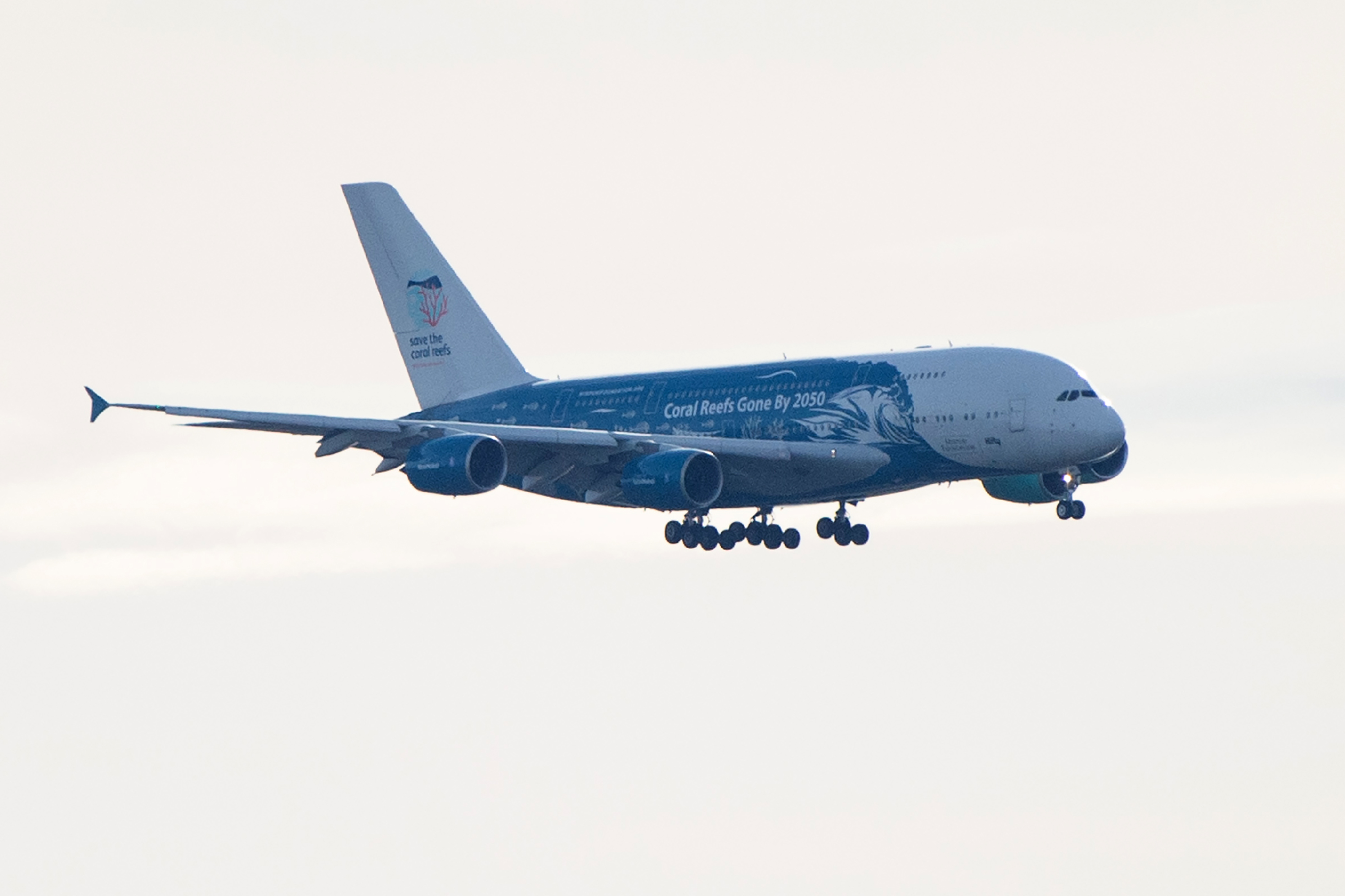 Llega a Francia avión con 250 personas provenientes de China