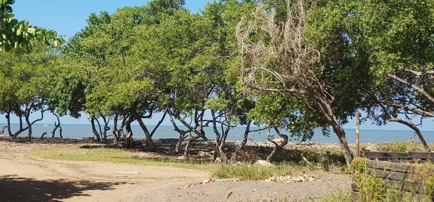 Hallan muerto a un sujeto por identificar en la playa de “caño salao” Anzoátegui