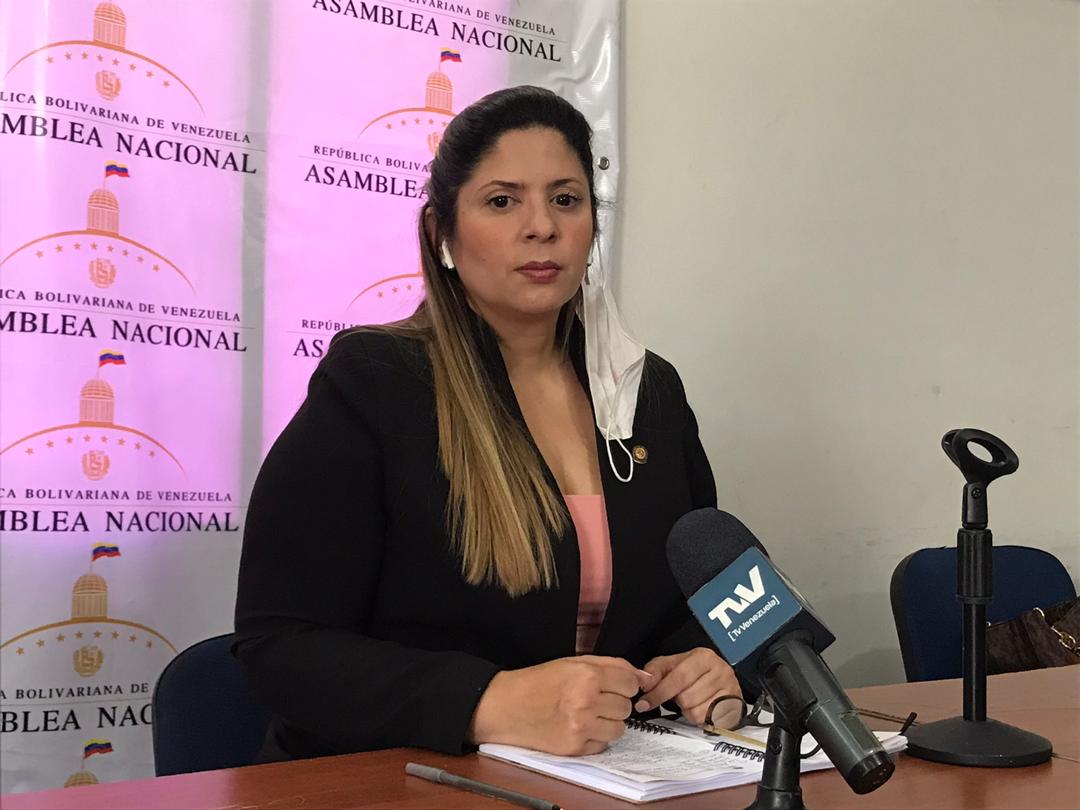 Nora Bracho: La AN creó una herramienta para levantar información sobre la realidad del coronavirus