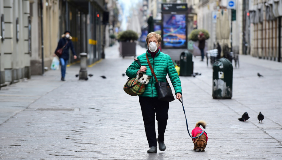 ¿Las mascotas necesitan guardar distanciamiento social?