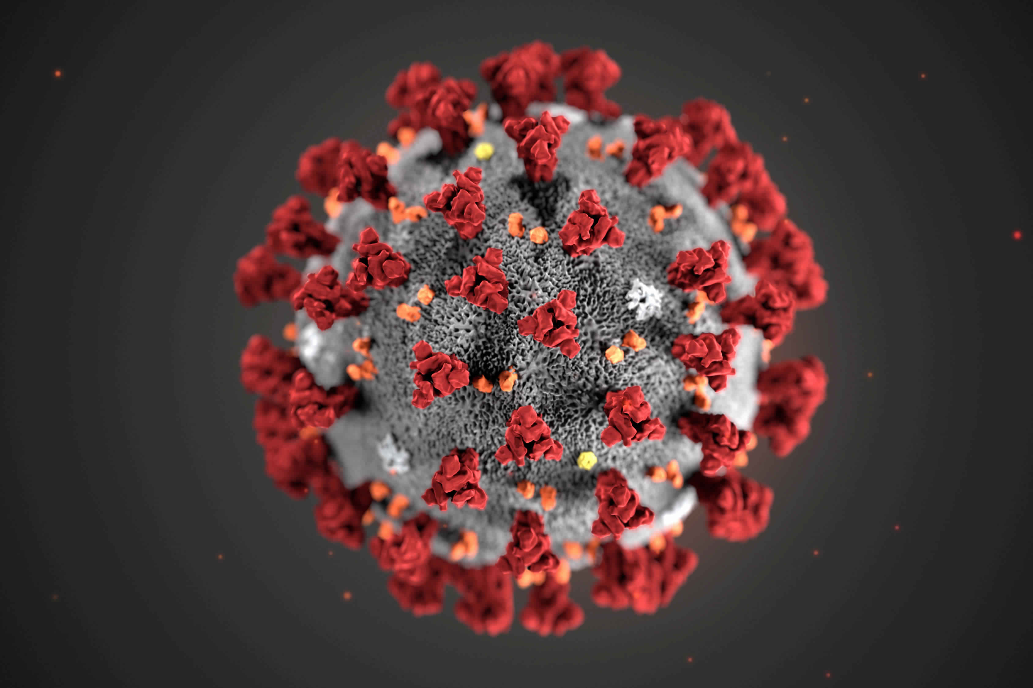 El coronavirus acaba con los criadores chinos de ratas y cobras comestibles