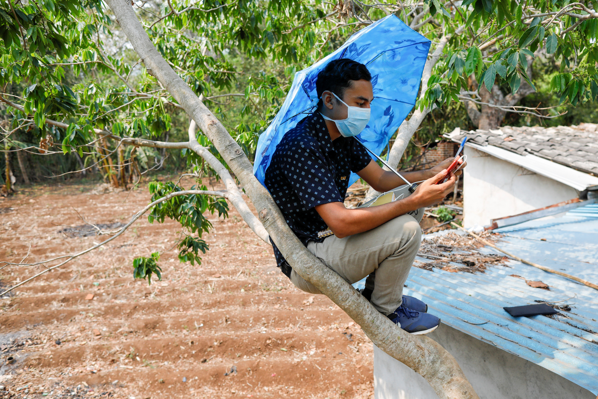 Joven salvadoreño debe trepar un árbol para no perder sus clases en cuarentena