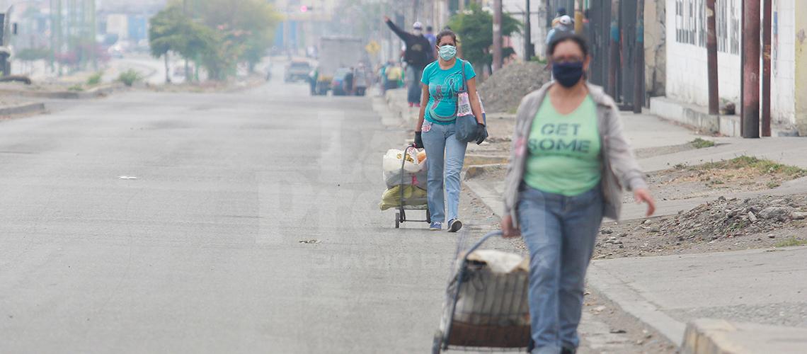 Falta de transporte colapsa a empresas e industrias