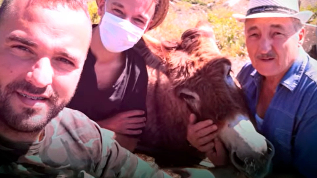 La reacción de una burra al reencontrarse con su dueño tras dos meses de cuarentena (Video)