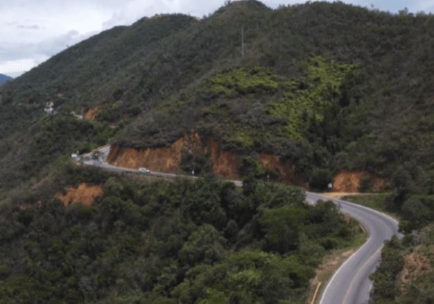 Murió venezolano tras ser picado por abejas y caer a un abismo en Colombia