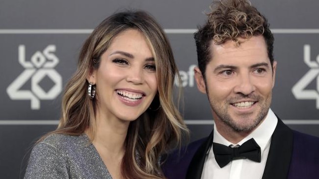 ¡Ajá! David Bisbal y Rosanna Zanetti planean agrandar la familia