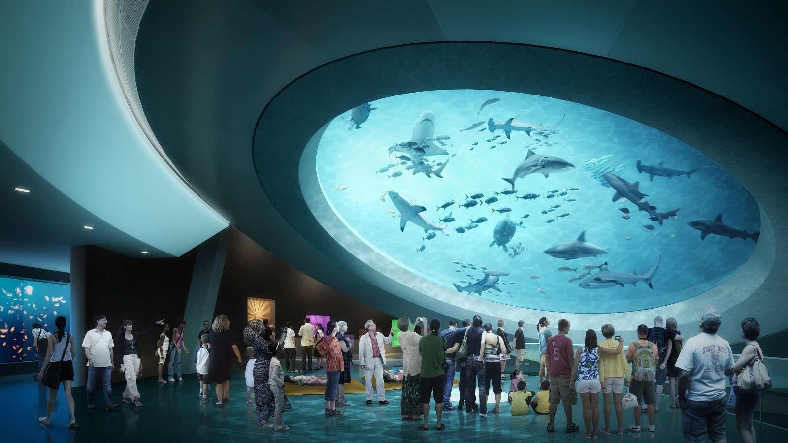 Frost Museum of Science en Miami reabre al público en medio del COVID-19