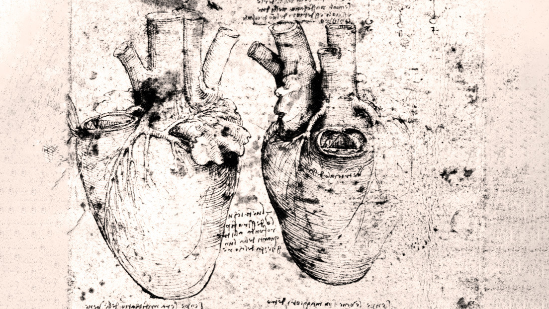 Científicos descubren que un dibujo de Da Vinci es crucial para comprender cómo funciona el corazón