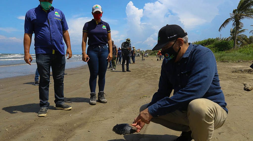 El derrame de crudo en Morrocoy se habría originado en El Palito