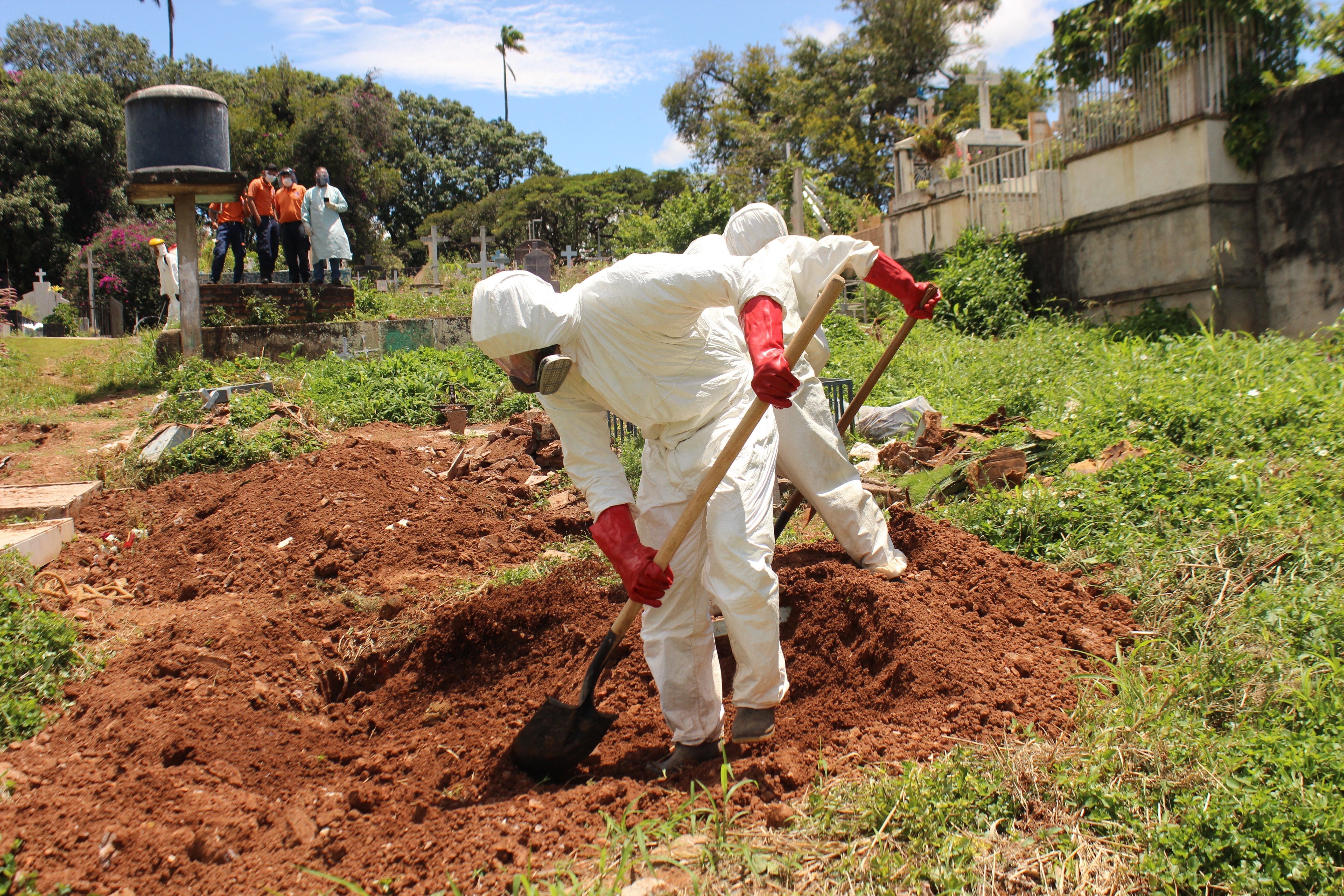 Delcy Eloína anunció siete nuevas víctimas de la pandemia en Venezuela