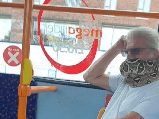 VIRAL: Una serpiente no puede servir de tapabocas, advierte las autoridades británicas