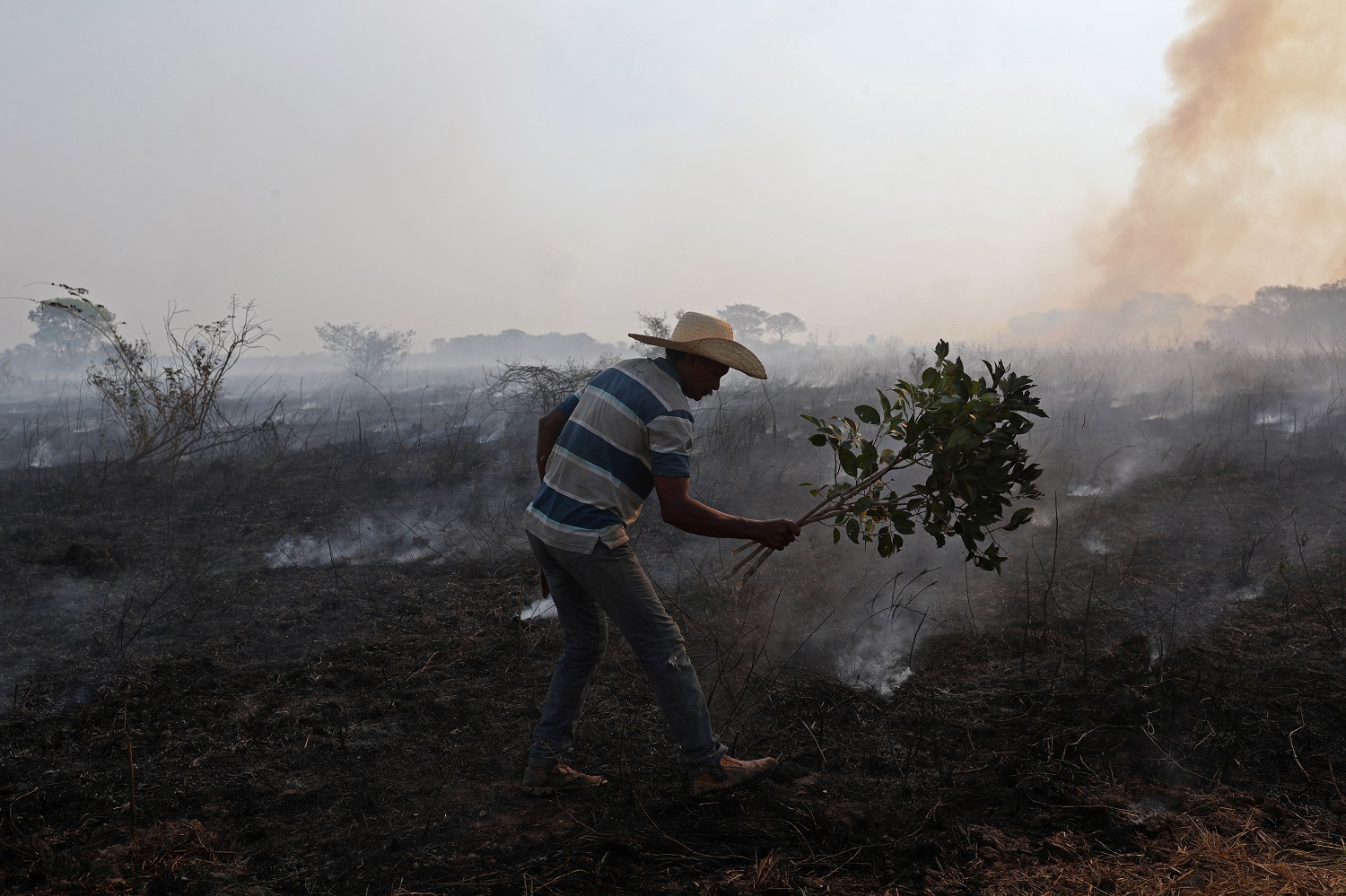 Incendios en Amazonía brasileña son los peores en una década