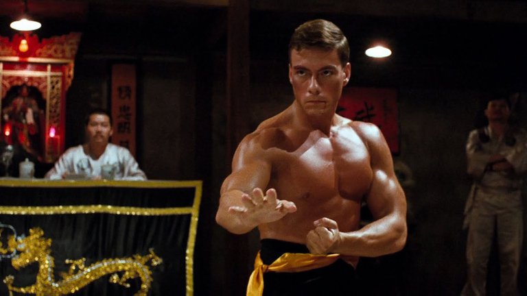 Encuentran a un ave con “habilidades similares” a las del actor Jean-Claude Van Damme (FOTOS)