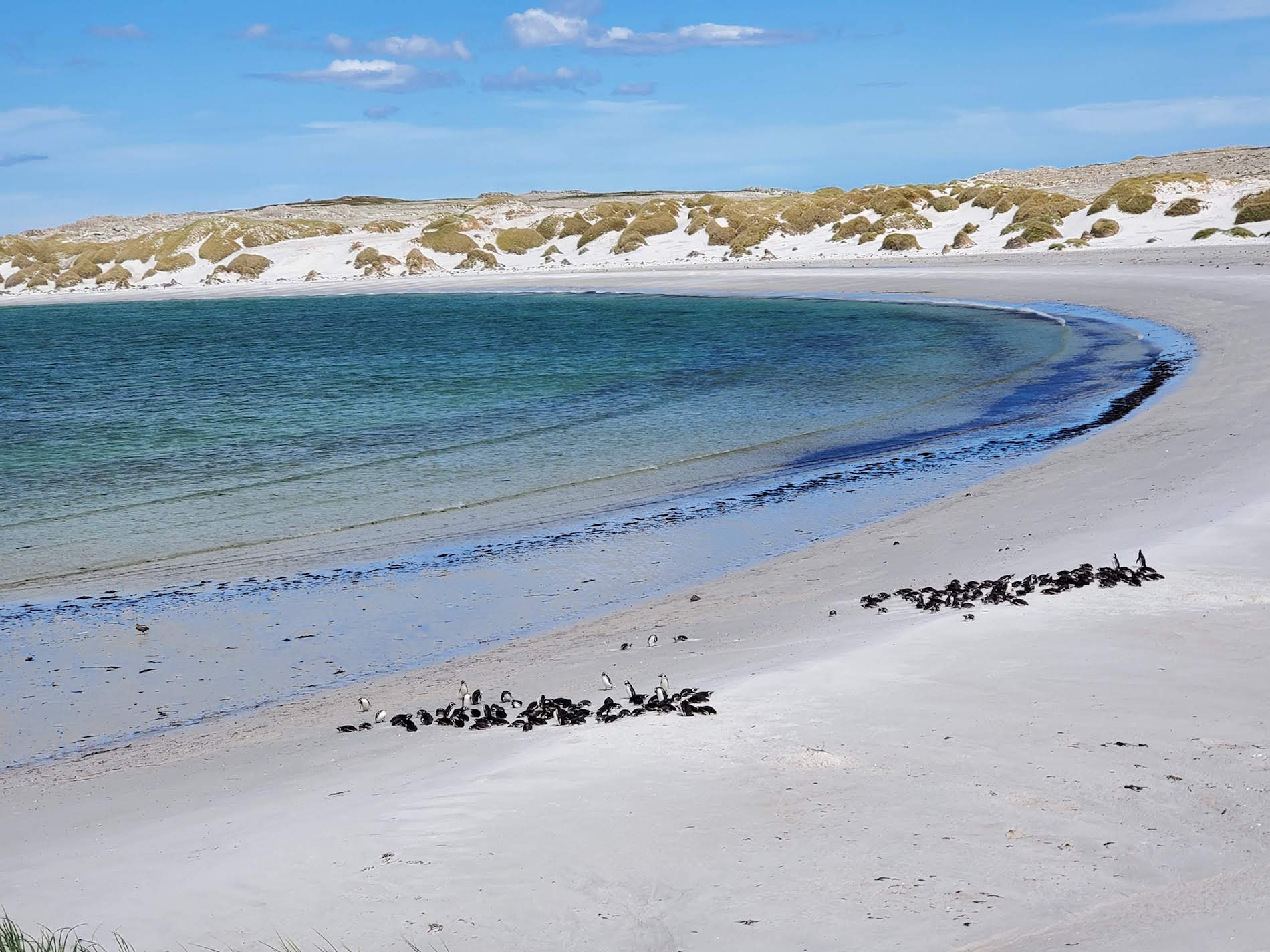 Las islas Malvinas, totalmente limpias de las minas puestas por Argentina hace 38 años