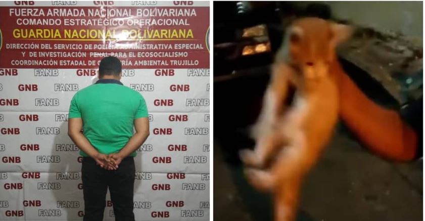 Capturaron al sujeto que lanzó a un gato por encima de una casa en Trujillo