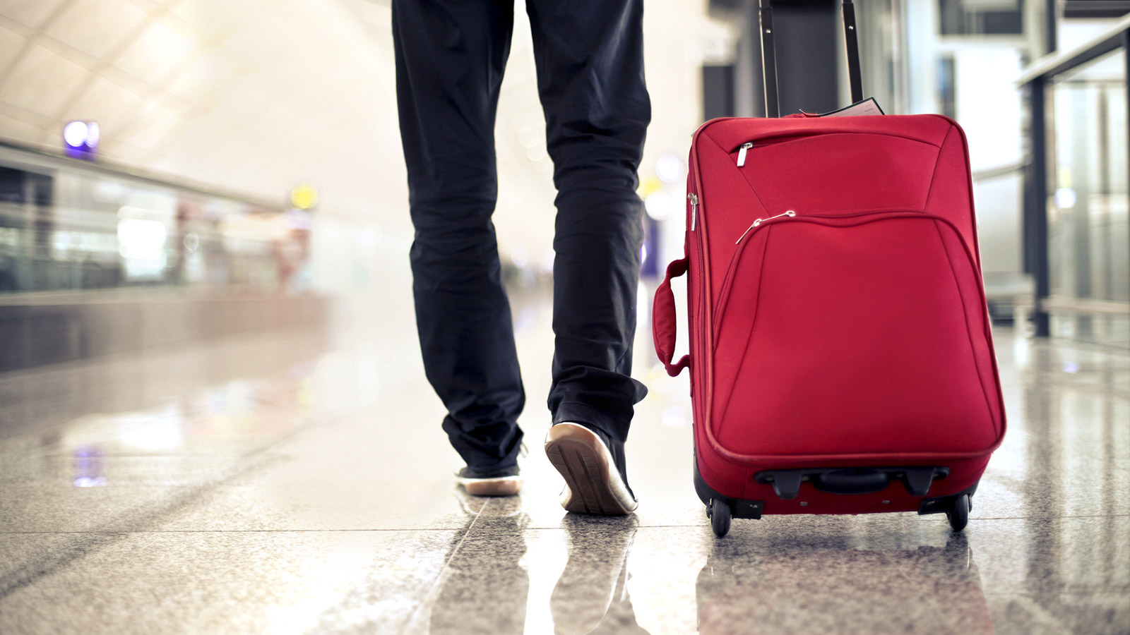 El espanto de una mujer al abrir su maleta después de un vuelo y encontrarse una desagradable sorpresa