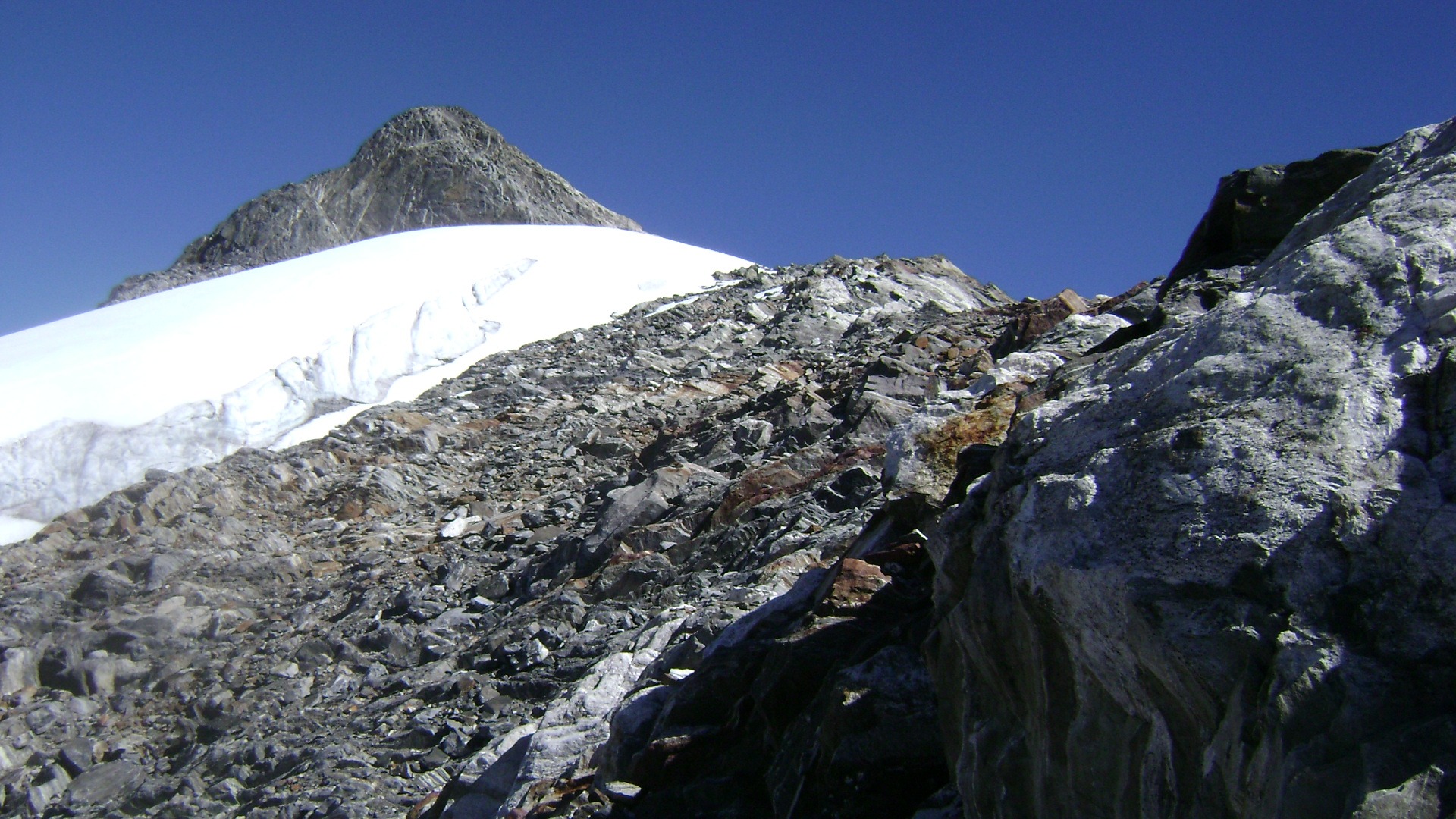 Nuevas formas de vida emergen entre las rocas desnudas del último glaciar de Venezuela