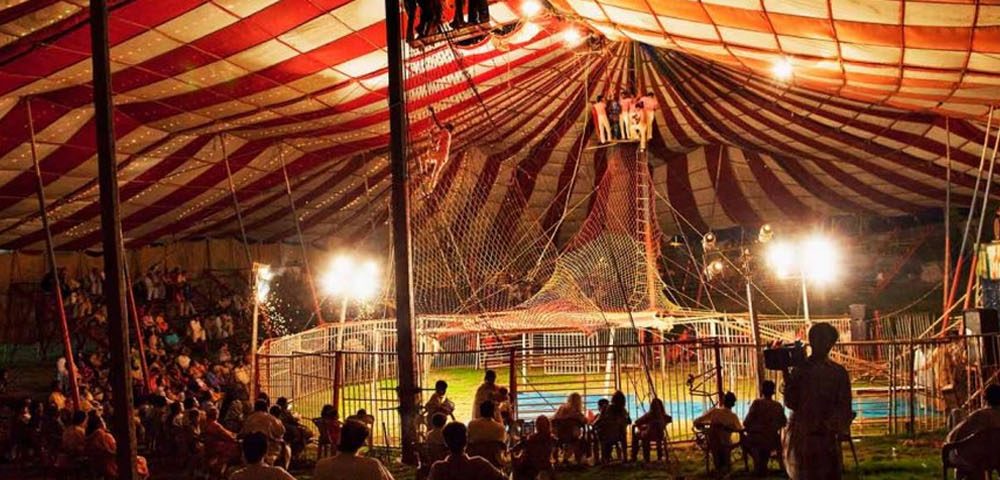 Investigan a un circo en Rusia que vistió a un mono con un uniforme nazi