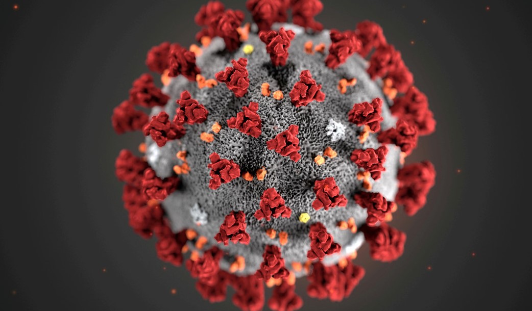 Descubren una nueva cepa de coronavirus en Túnez