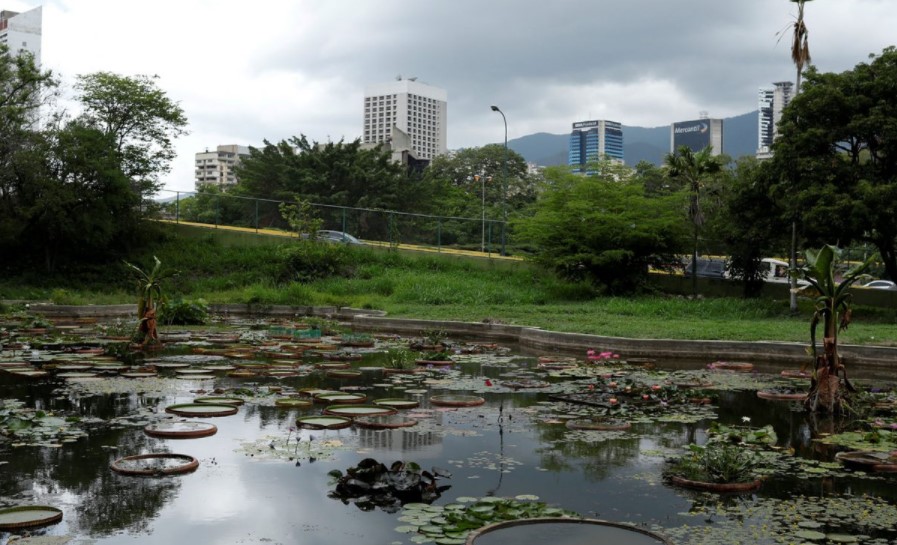 Detuvieron a tres hombres por invasión a Jardín Botánico de la UCV