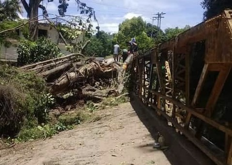 La caída de un puente en Sucre impide traslado de verduras a otros estados