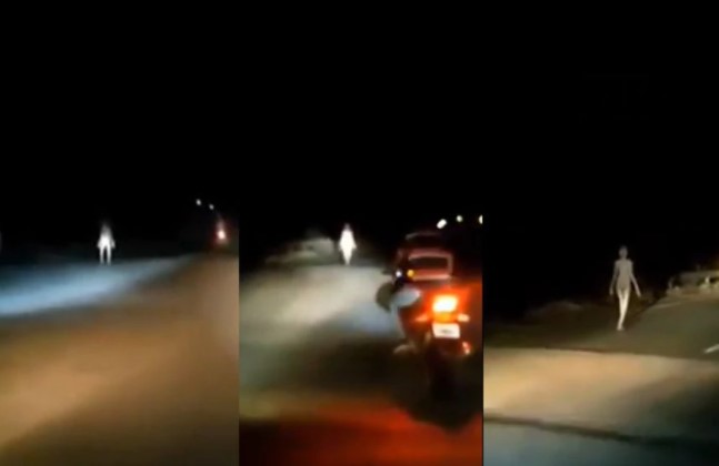 Extraña criatura de largas extremidades fue vista al costado de una ruta en India (VIDEO)