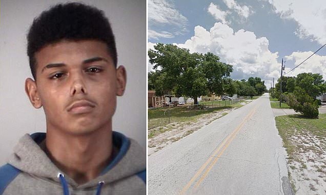 Golpeó a un niño hasta dejarlo inconsciente y lo abandonó desnudo en un bosque de Florida