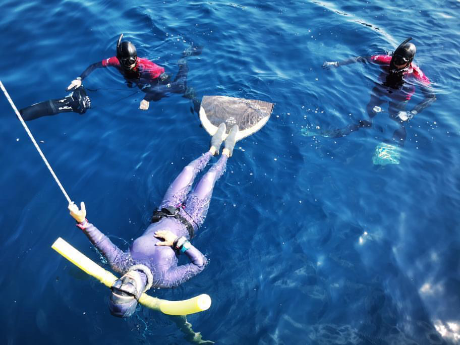 ¡Orgullo nacional! Venezolana Iru Balic batió el record nacional en Apnea en Croacia (Fotos)