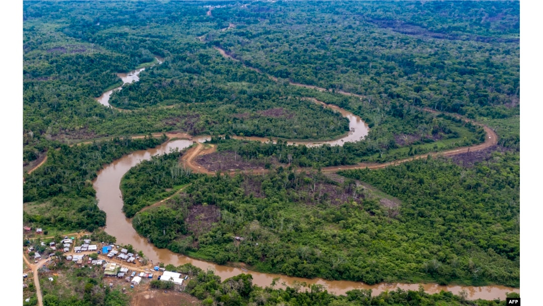 ¡Devastador! Cerca de 19.000 haitianos esperan cruzar la peligrosa selva del Darién para buscar una mejor vida