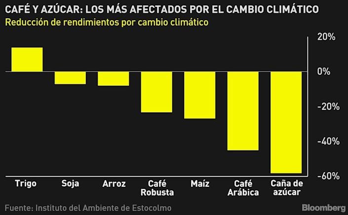 Gráfico: Clima podría reducir producción de azúcar y café en 50%