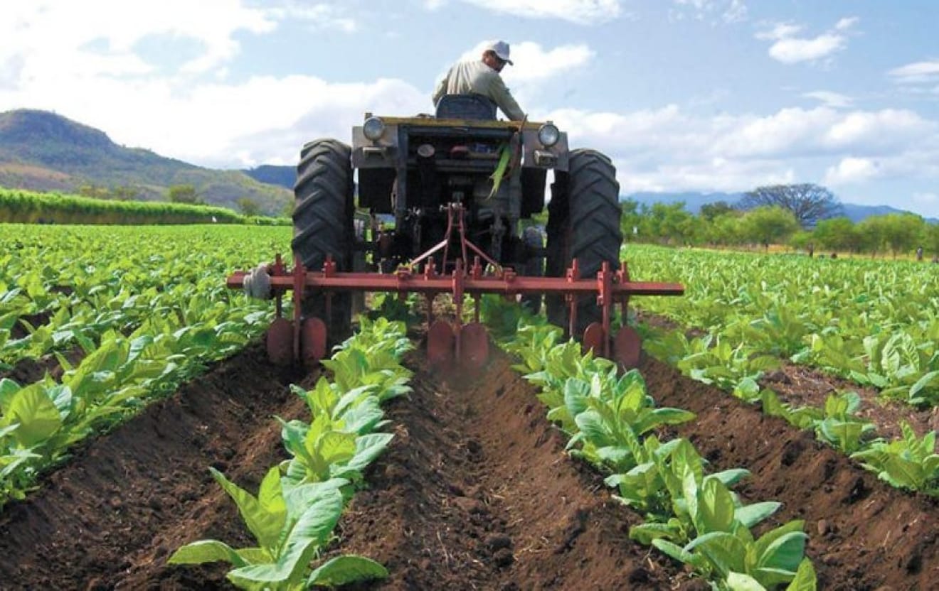 Productores venezolanos encienden las alarmas por venta de agroquímicos piratas