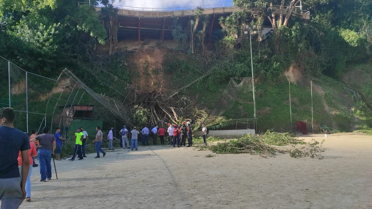 Cinco niños resultaron lesionados tras la caída de un árbol en El Hatillo