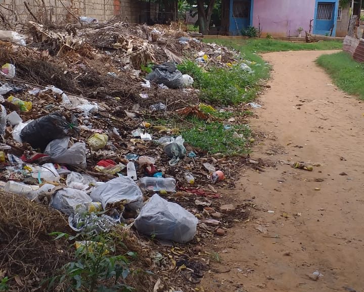 Comunidades marabinas sobreviven entre culebras, ratas y alacranes (FOTOS)