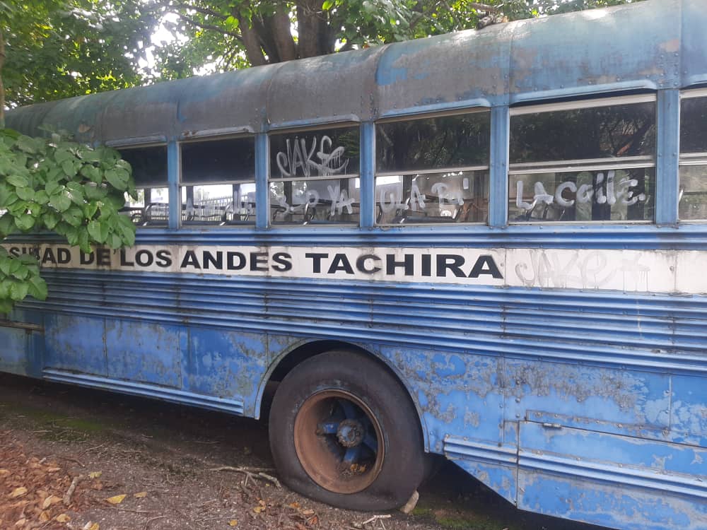 Vicerrector de la ULA Táchira: La inversión en educación es una inversión social