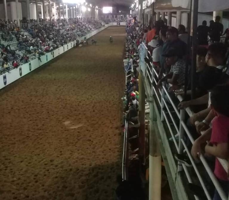 ¿Y el coronavirus? Gobernación de Guárico promovió campeonato de toros coleados sin medidas sanitarias (VIDEO)