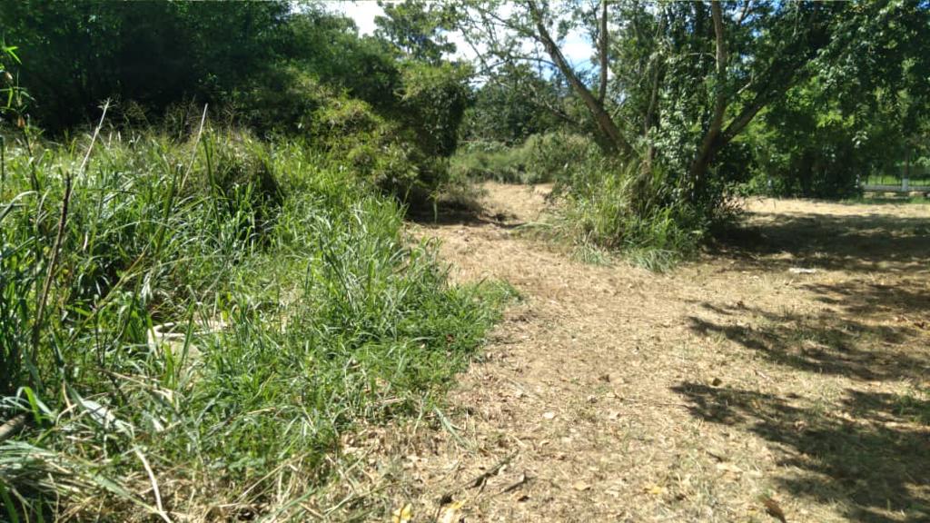 Vecinos de Bejuma rescatan pista de bicicross tras siete años de abandono y desidia chavista (FOTOS)