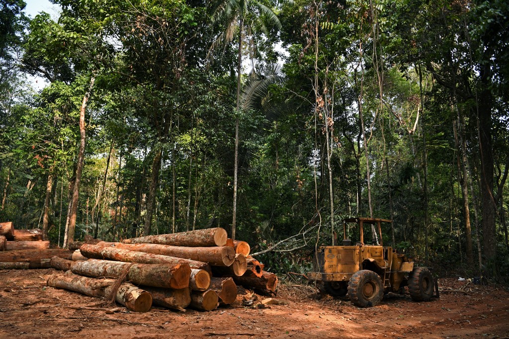 Los pueblos indígenas claman por la protección del 80 % de la Amazonía para el 2025