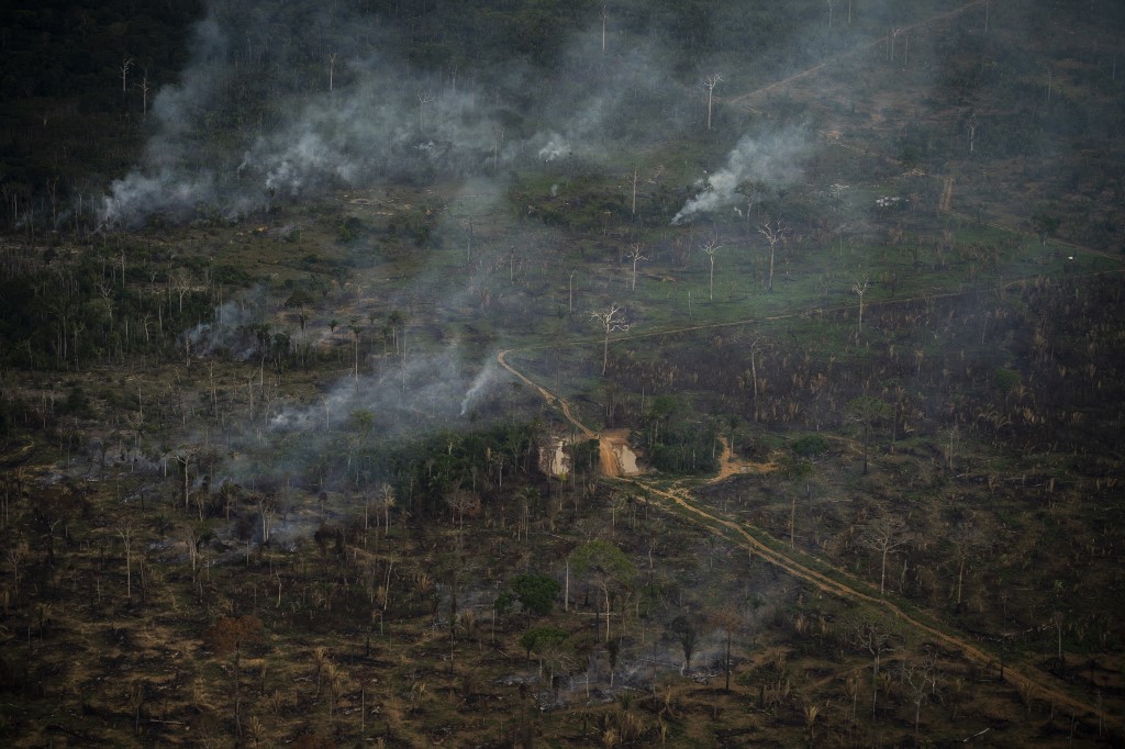 Aumento de temperatura por deforestación hace que trabajo en exteriores sea inseguro, según estudio