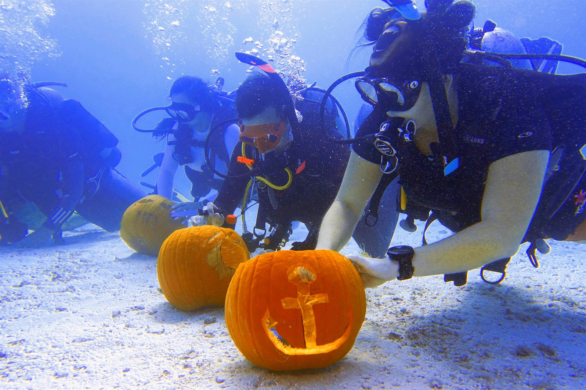 Un grupo de buceadores realizó una competencia de tallado de calabaza submarino en Florida (FOTOS)